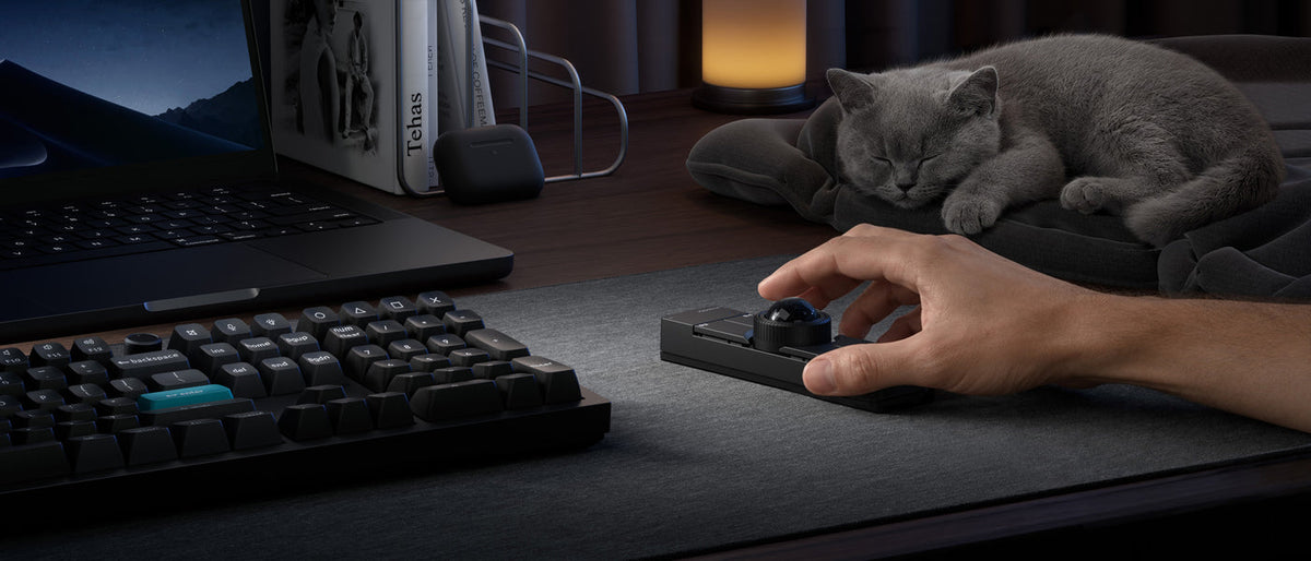 Trackball Mouse คืออะไร? ข้อดี ข้อจำกัด และวิธีเลือกให้พอดีมือ
