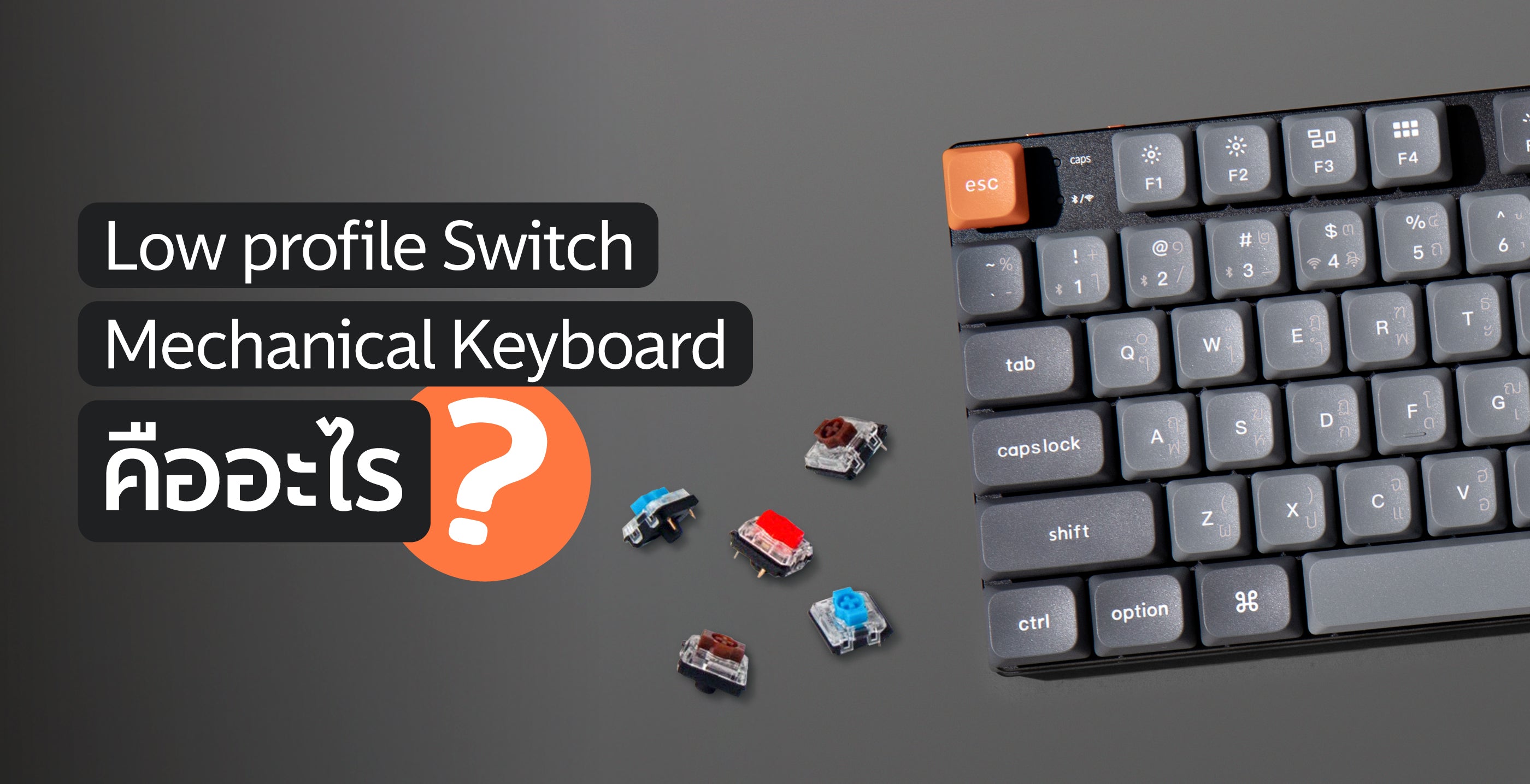 Low profile Switch Mechanical Keyboard คืออะไร