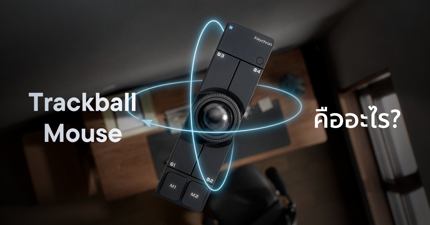 Trackball Mouse คืออะไร Blog Cover