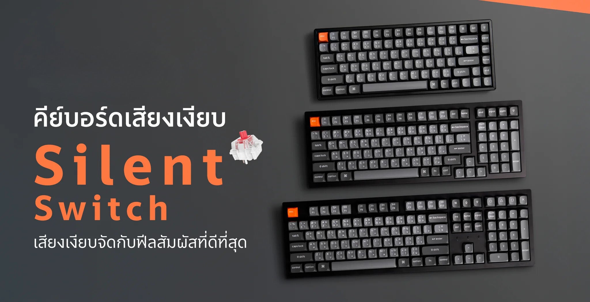 แนะนำ คีย์บอร์ดเสียงเงียบ Silent Switch