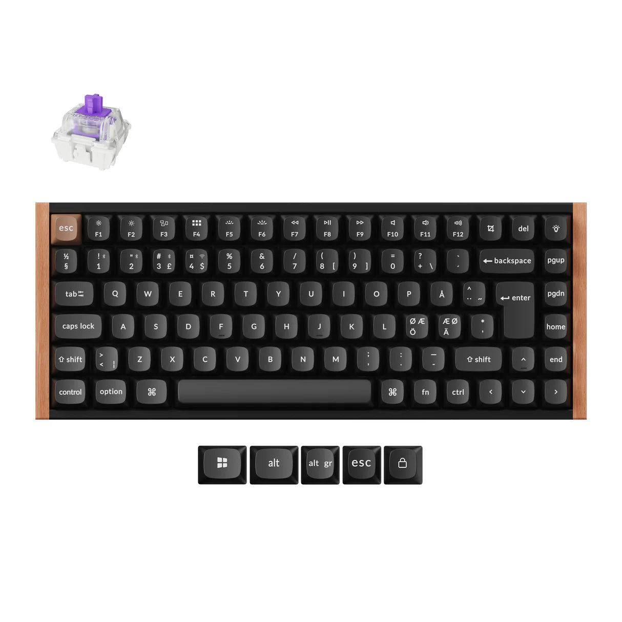 Keychron K2 HE Magnetic Switches Keyboard - Keychron Thailand