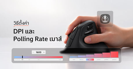 วิธีตั้งค่า DPI และ Polling Rate ของเมาส์ Keychron บน Launcher