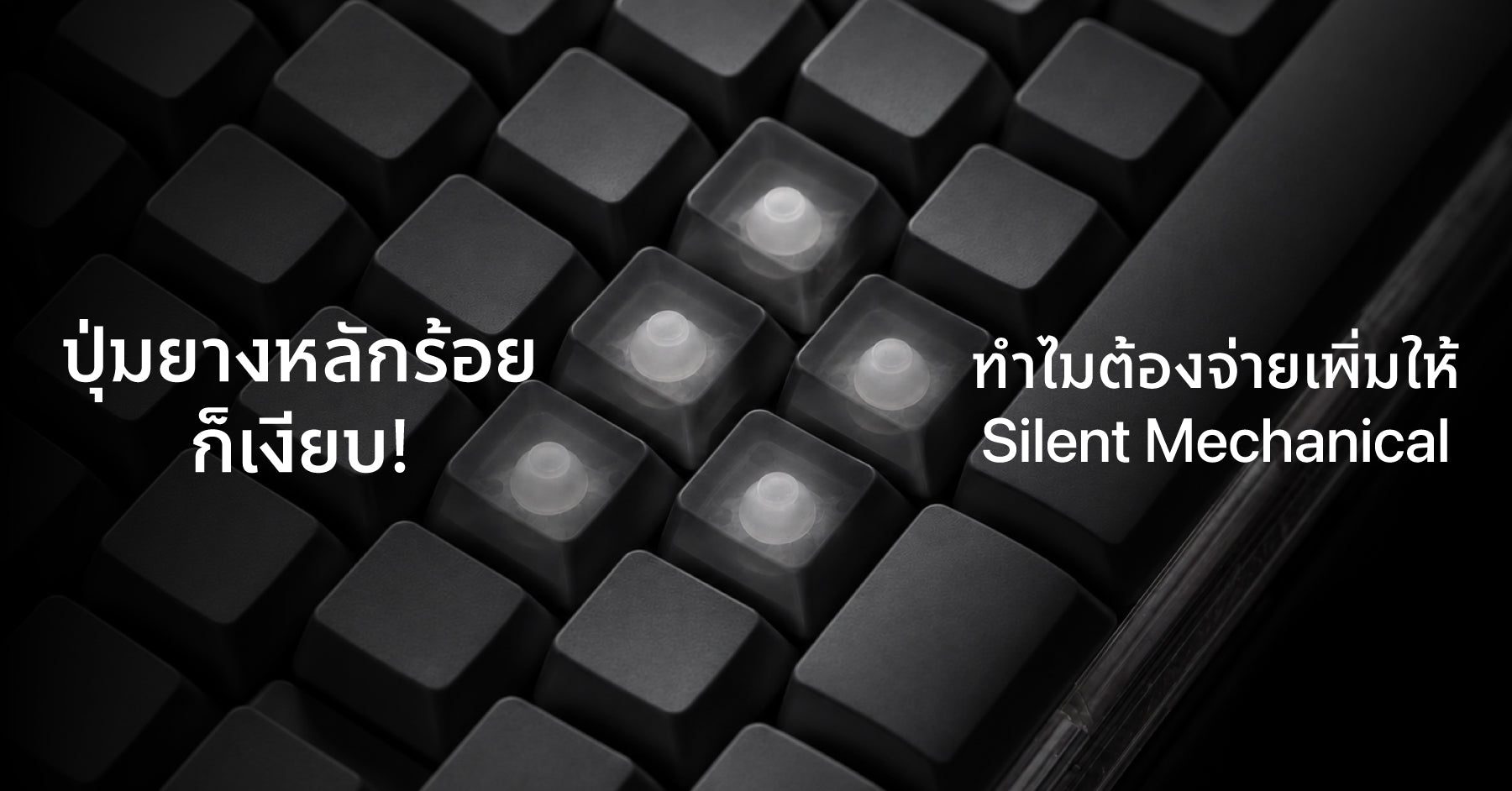 Cover Membrane ปุ่มยางหลักร้อยก็เสียงเงียบ แต่ทำไมต้องจ่ายเพิ่มให้ Silent Mechanical