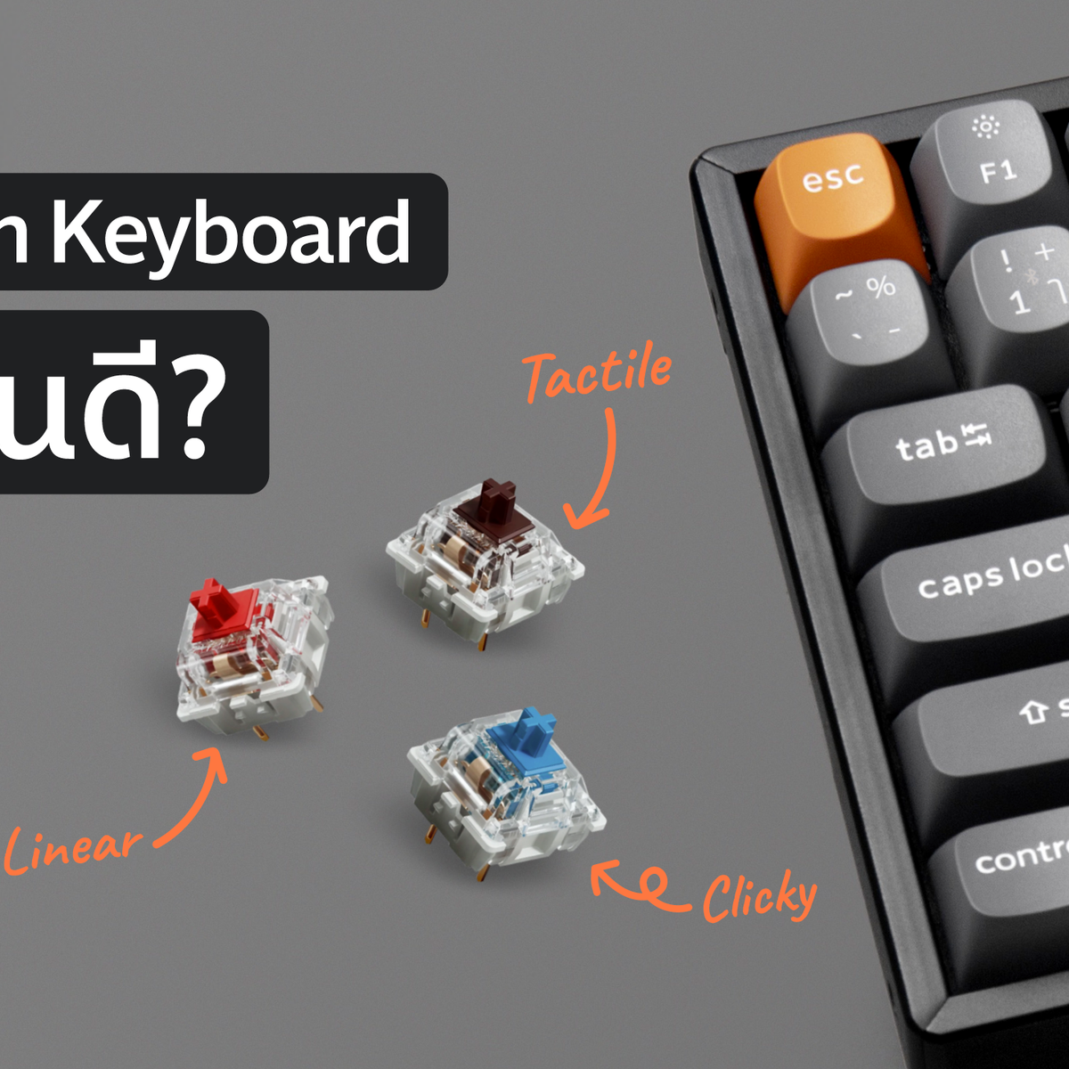 Keyboard Switch เลือกแบบไหนดี? – Keychron Thailand