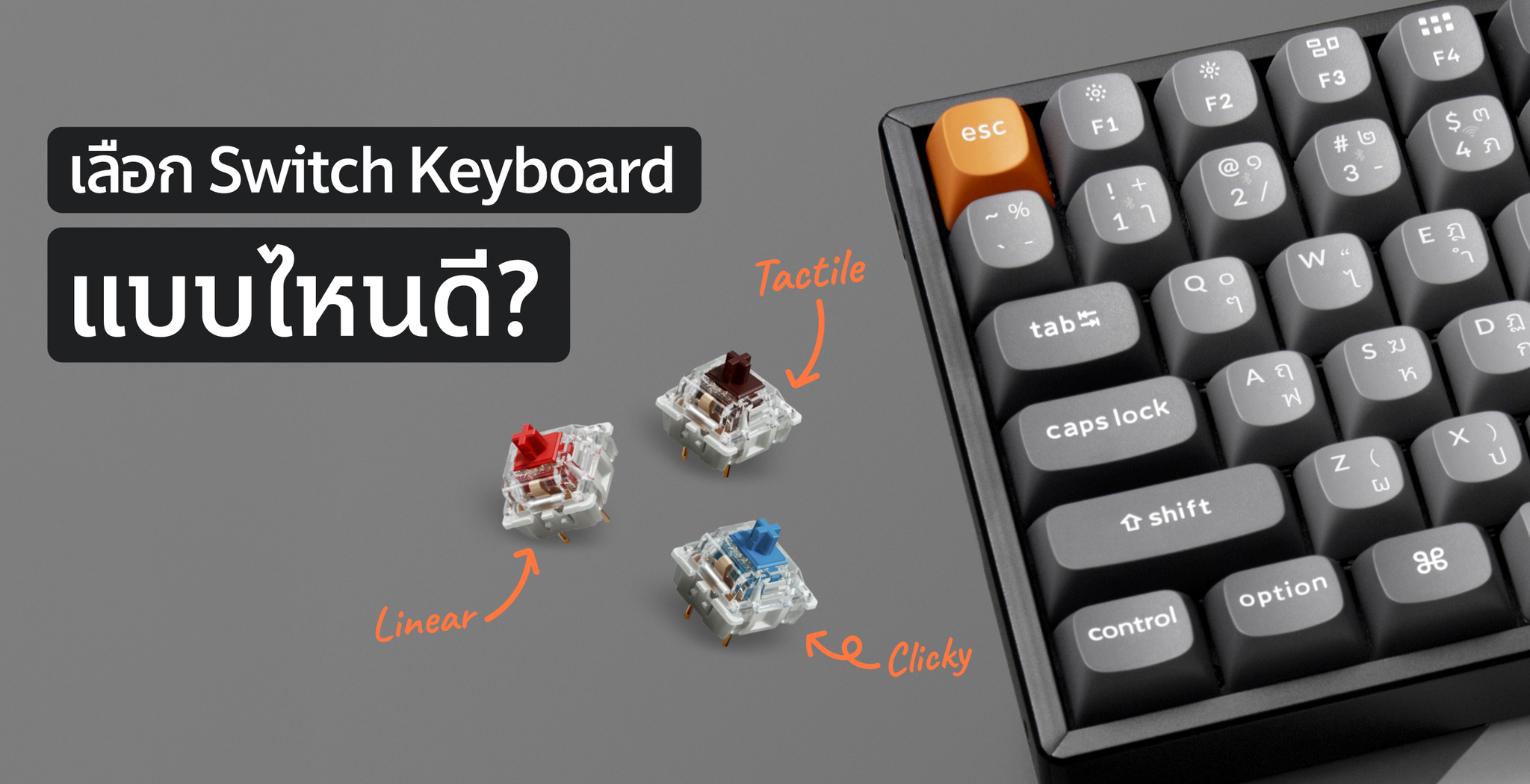 ประเภทของ Keyboard Switch เลือกแบบไหนดี? 