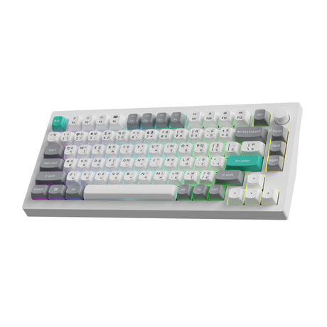Keychron C75 TMR Magnetic Switch Keyboard - Keychron Thailand