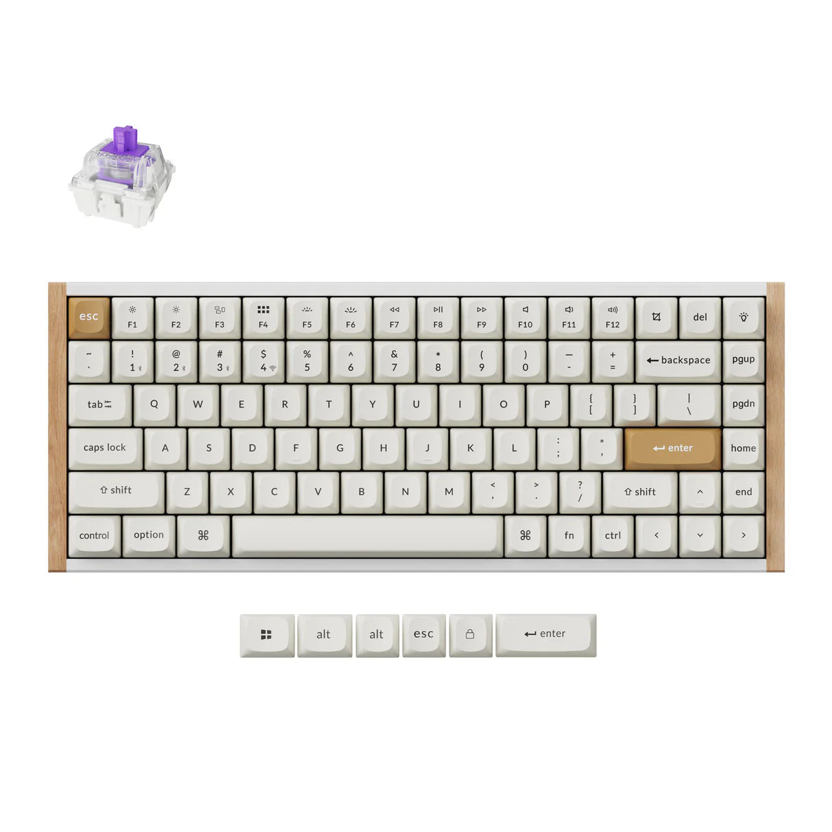 Keychron K2 HE Magnetic Switches Keyboard - Keychron Thailand