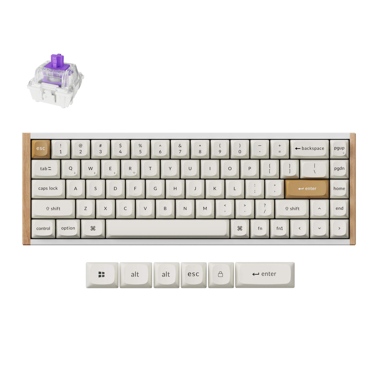 Keychron K6 HE Wireless Magnetic Switch Custom Keyboard - Keychron Thailand