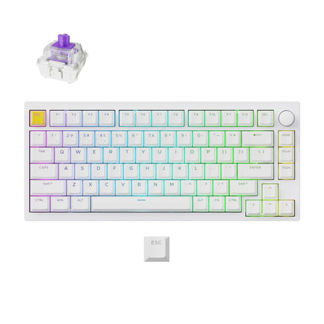 Lemokey P1 HE Wireless Magnetic Switch Custom Gaming Keyboard - Keychron Thailand